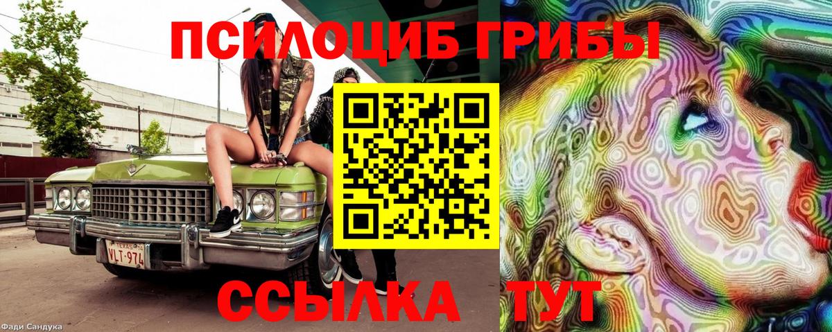 Псилоцибиновые грибы Magic Shrooms  цены   Ижевск  Вход с VPN 